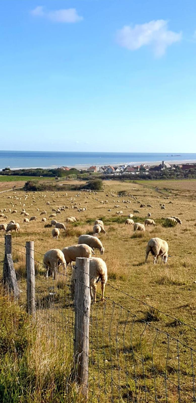 Apartmán Au Kaycedra Calais Exteriér fotografie